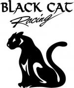 "Black cat" размер 20см*17см - 150 руб.