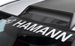 hamann лобовое стекло - 280 руб 