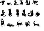 коты-кошки  от 100 руб.