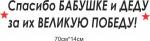 спасибо бабушке и деду за их великую победу - 350 руб., однотонная - 250 руб.